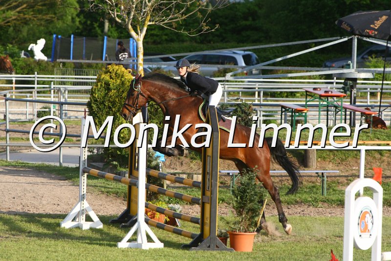 204M2316_Carlo Colucci_Stil_A.JPG